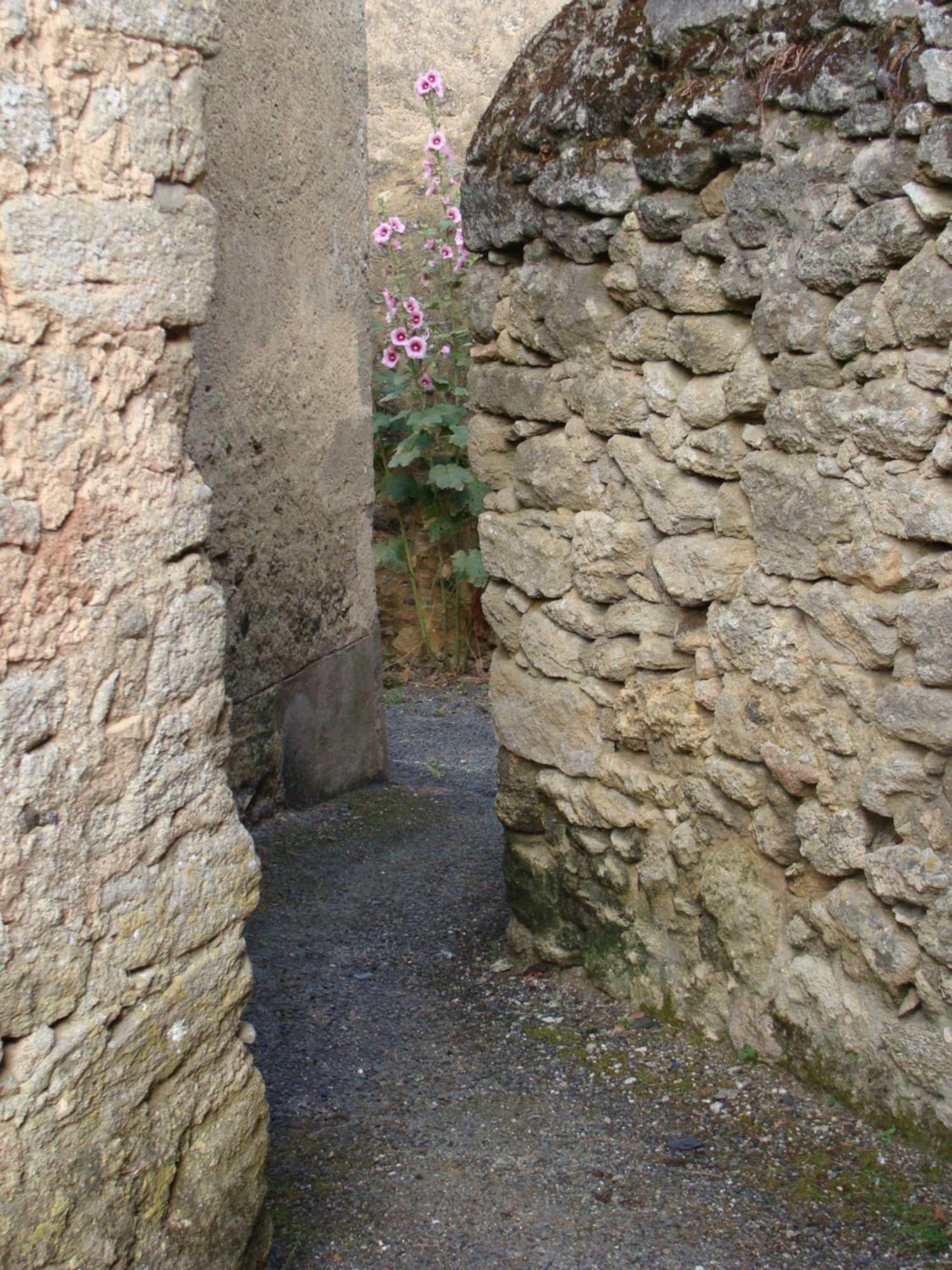 Gite Cote Ruelle Martigné-Briand Eksteriør billede